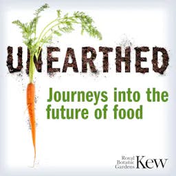Review: Unearthed from Royal Botanic Gardens, Kew