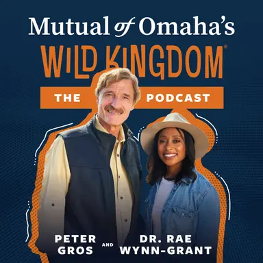 Review: Mutual of Omaha&#039;s Wild Kingdom