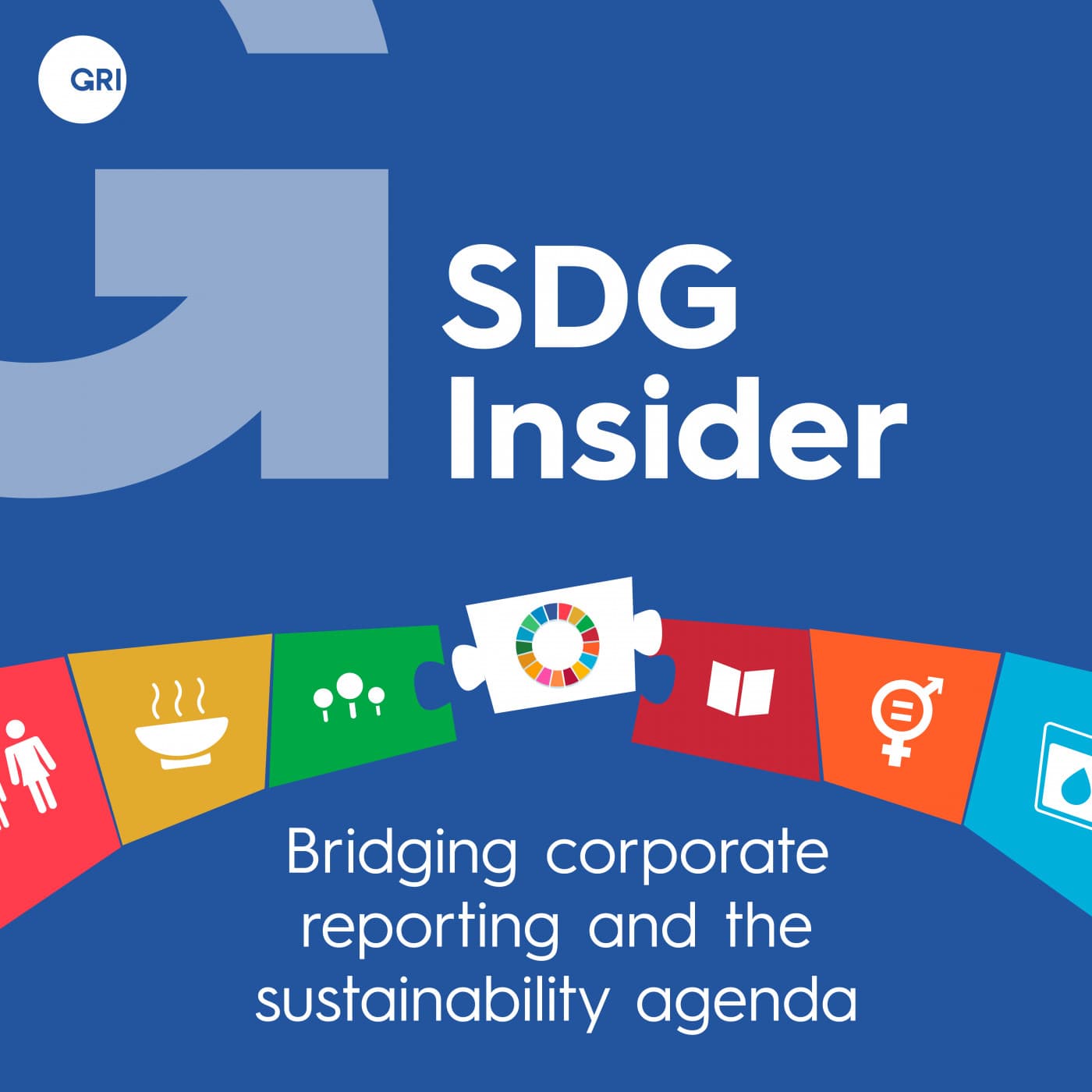 SDG Insider: Bridging corporate reporting and the sustainability agenda