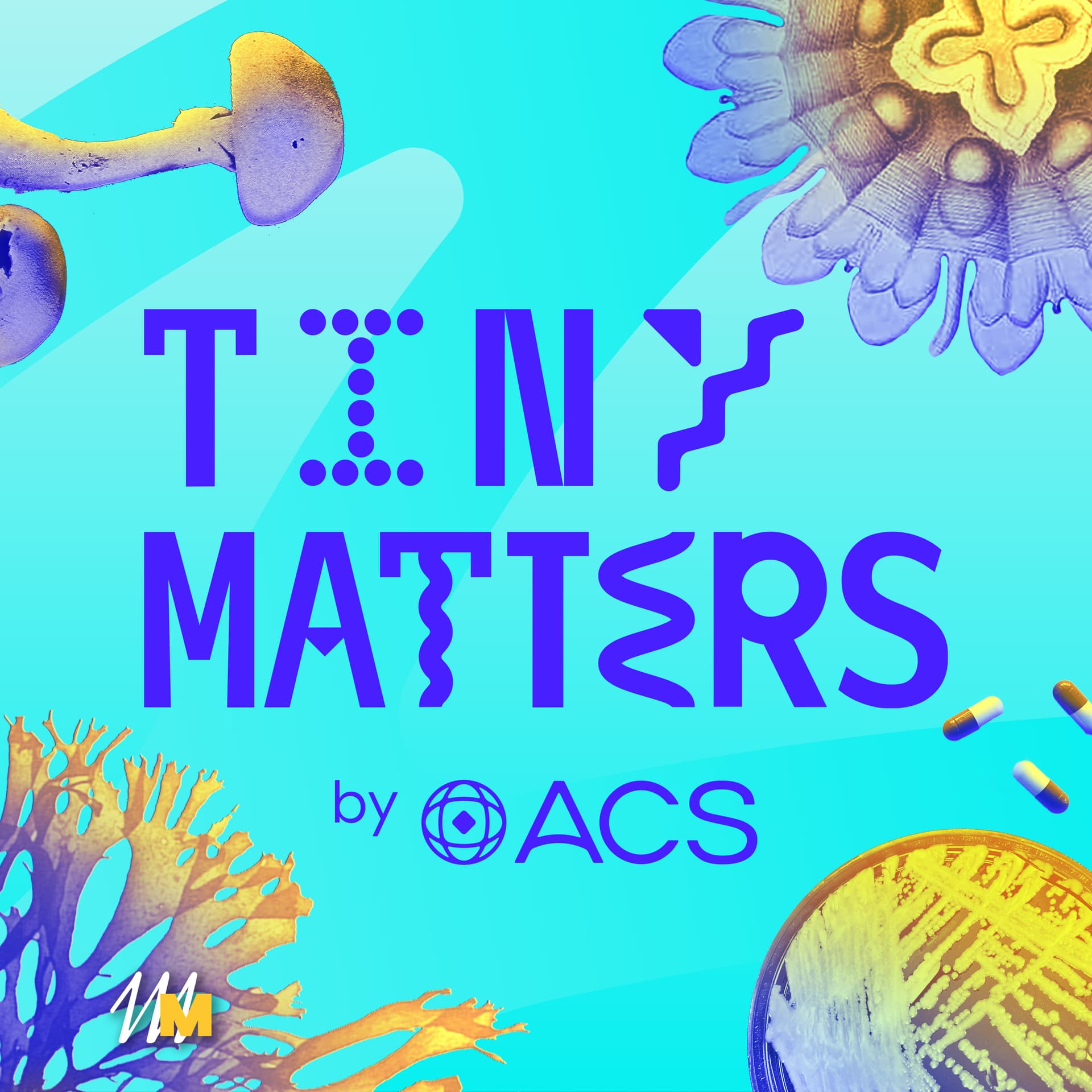 Tiny Matters podcast cover
