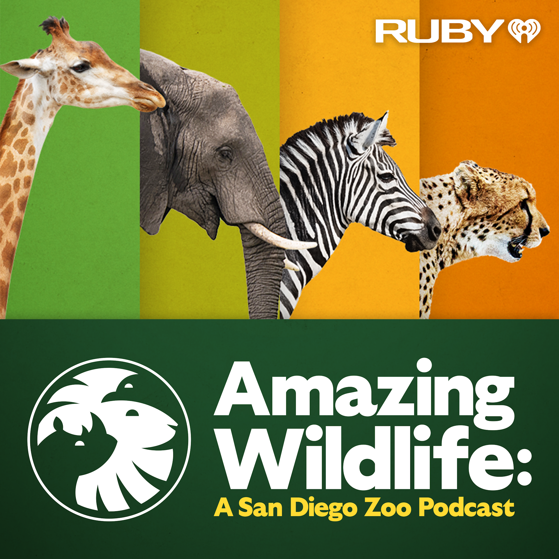 Review: Amazing Wildlife from San Diego Zoo