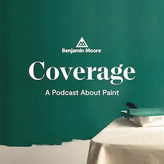 Review: Coverage: A Podcast About Paint