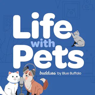 Review: Life with Pets from Blue Buffalo