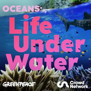 Review: Oceans: Life Under Water from Greenpeace