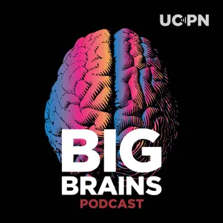 Review: Big Brains from University of Chicago