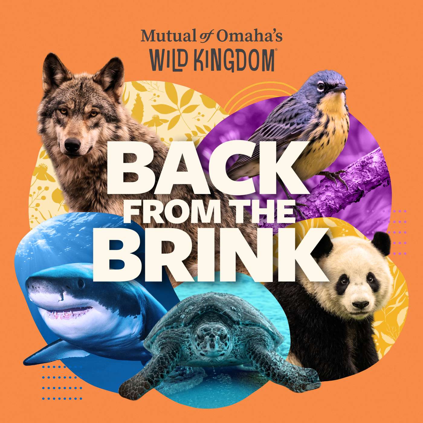 Back From the Brink, from Mutual of Omaha's Wild Kingdom podcast cover