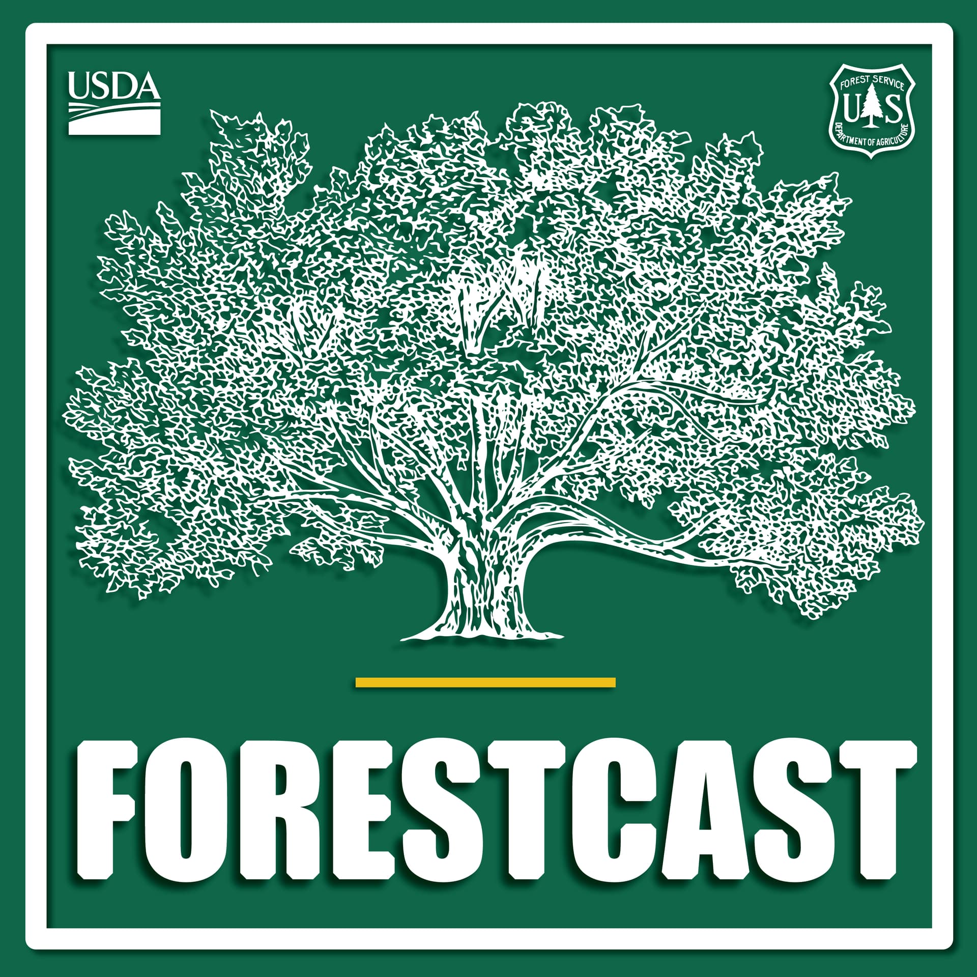 Forestcast podcast cover